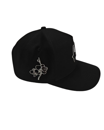 Signature Brim